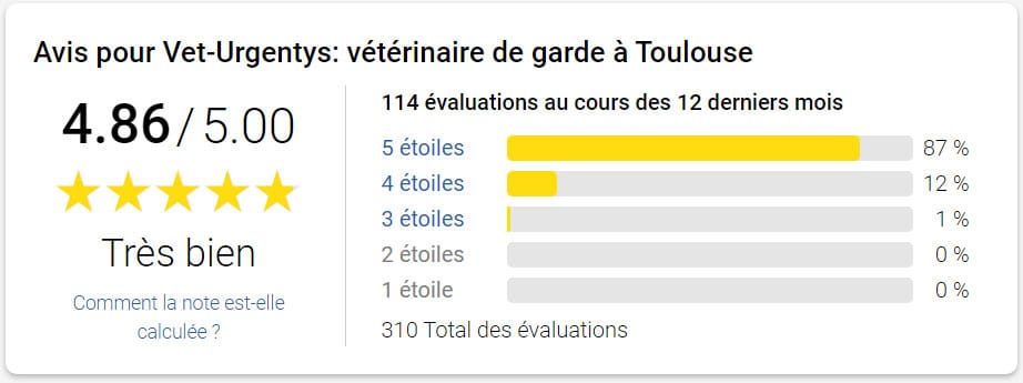 Veterinaire De Garde Toulouse Urgences 31