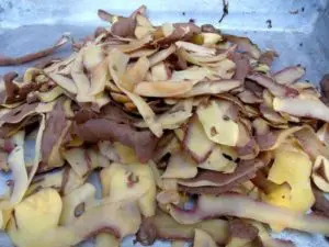 Les pommes de terre verdies sont toxiques pour le chien
