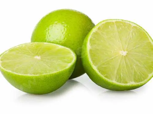 Intoxication du chien par le Dieffenbachia : on peut faire boire du jus de citron vert
