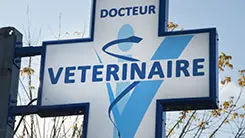 Clinique Vétérinique de Garde à Toulouse et ses agglomérations