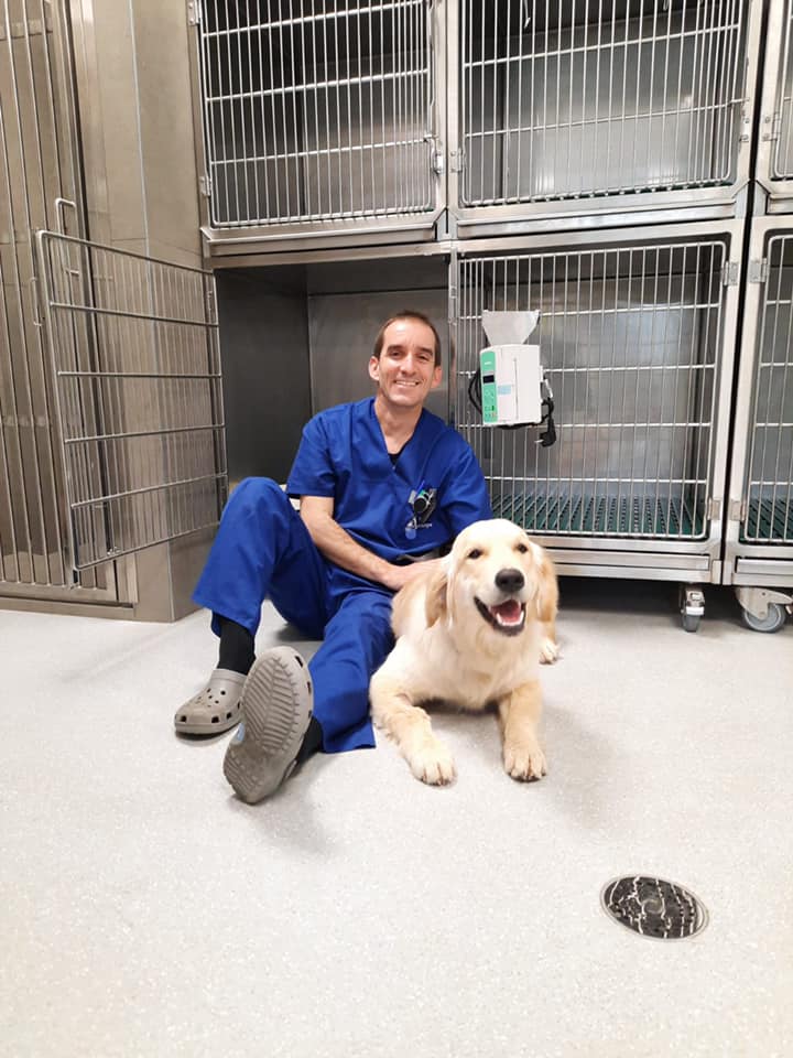 Membre de l'équipe Vétérinaire Vet-Urgentys avec un chien devant les cages de repos