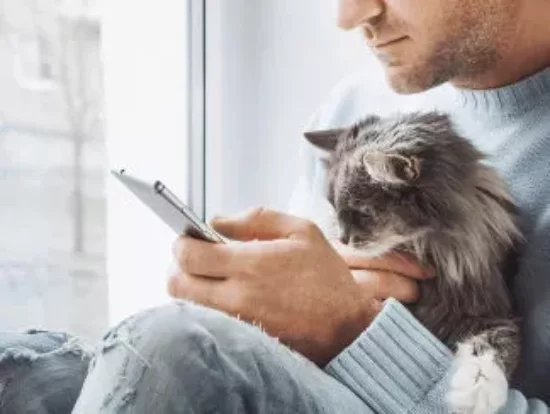 Que faire en cas d'urgence vétérinaire ? Personne composant le numéro des urgences avec son chat dans les bras.