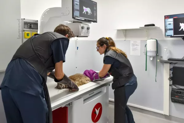 Urgence vétérinaire Vet-Urgentys - Plateau technique : salle d'imagerie